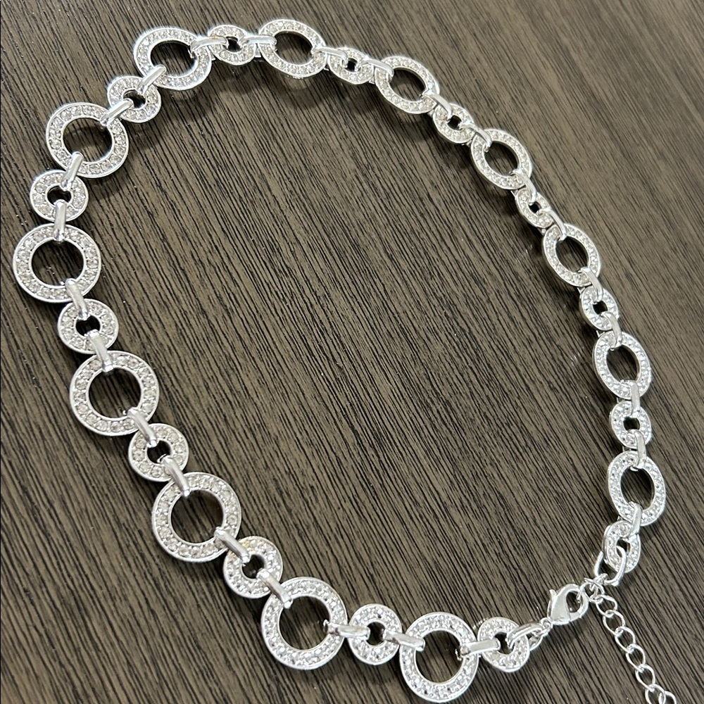 Chic Silver Circle Link Necklace - Picture 2 of 4